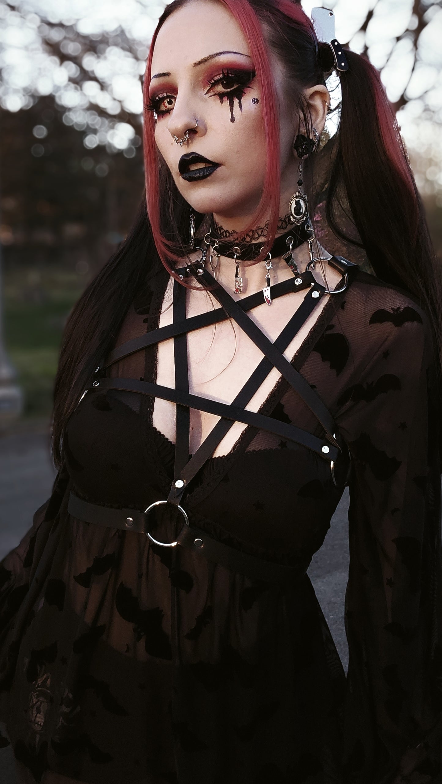 Pentagram Harness