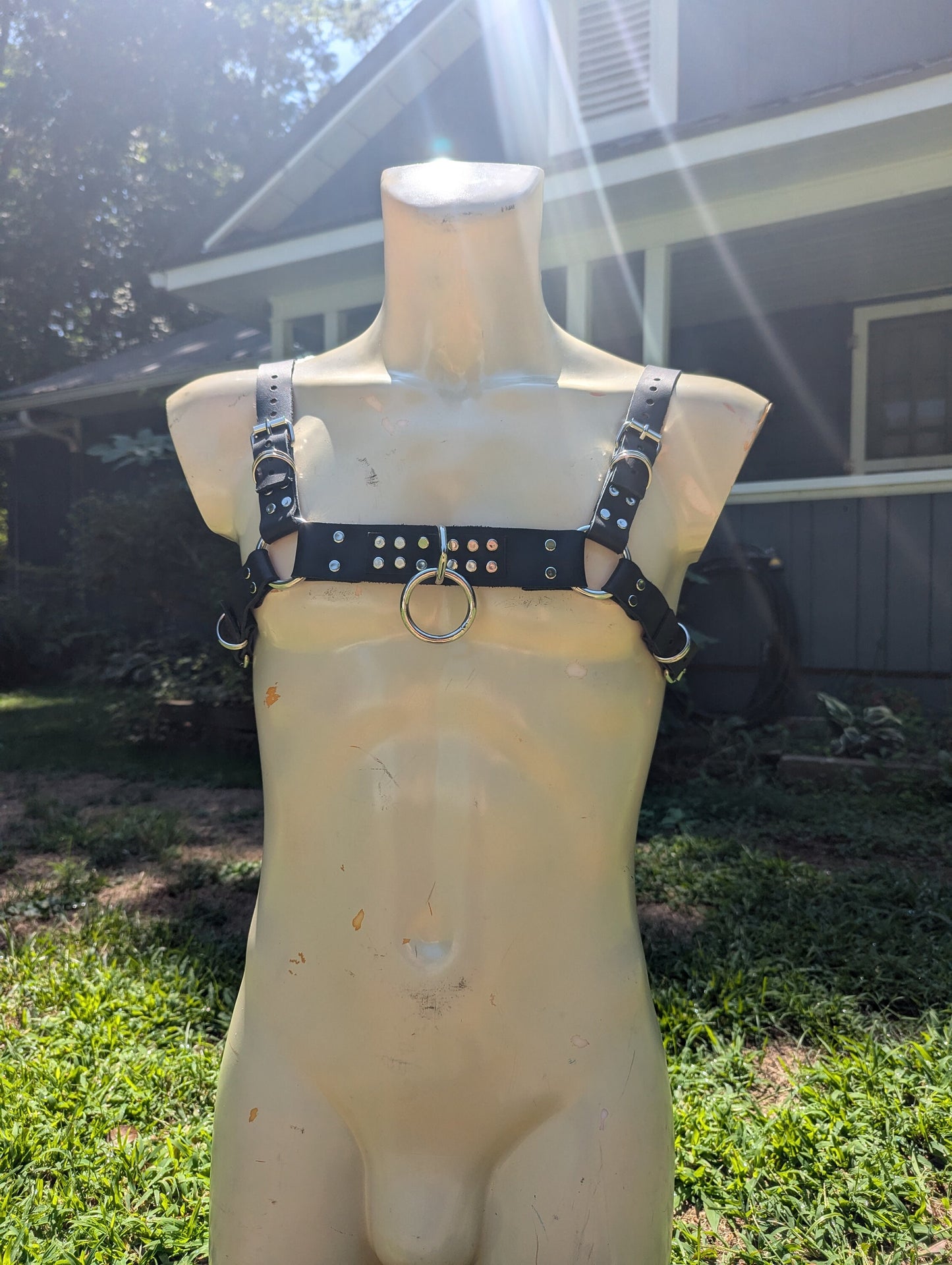 Leather Chest Harness